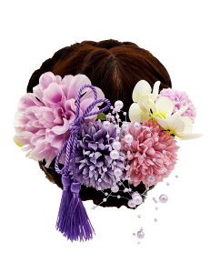 yz[JZOON] SF    U a l  Ǝ wbhhX EFfBO wAANT[ ԃNbv fB[X ܎O 7_Zbg sN