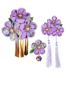 yzJZOON 3_Zbg l ܎O    U a ܂ݍ׍H  Ǝ  t  A 5FS15I