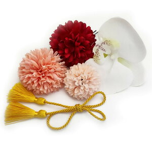 yzJZOON 5_Zbg  hCt[ l ܎O    U a Ǝ  S12I Ӓ 