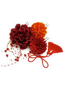 yzJZOON 5_Zbg  hCt[ l ܎O    U a Ǝ  S12I r[Y  F1005