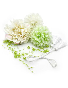 yzJZOON 5_Zbg  hCt[ l ܎O    U a Ǝ  S12I r[Y 