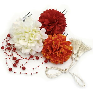 yzJZOON 5_Zbg  hCt[ l ܎O    U a Ǝ  S12I r[Y  F1003