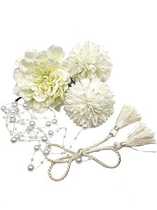 yzJZOON 5_Zbg  hCt[ l ܎O    U a Ǝ  S12I r[Y zCg F1007