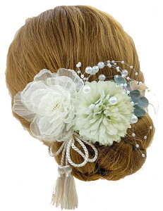 yzyJZOON z 6_Zbg wAANZT[ wACN hCt[ Us wAs    Ȍ a    VtH{̉Ԃт z (