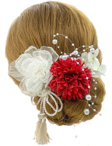 yzyJZOON z 6_Zbg wAANZT[ wACN hCt[ Us wAs    Ȍ a    VtH{̉Ԃт z i