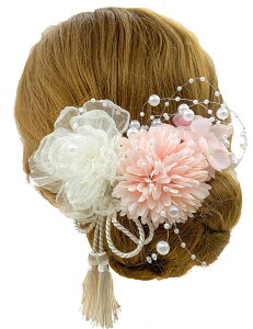 yzyJZOON z 6_Zbg wAANZT[ wACN hCt[ Us wAs    Ȍ a    VtH{̉Ԃт z (