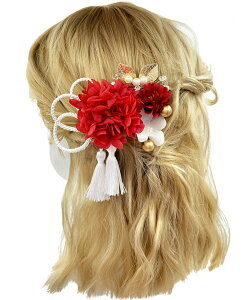 yzyJZOON z  l  ԏ   Ȍ a  wAANZT[  YY003