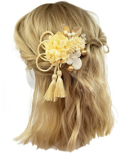 yzyJZOON z  l  ԏ   Ȍ a  wAANZT[ VpF YY001