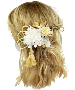 yzyJZOON z  l  ԏ   Ȍ a  wAANZT[  YY009