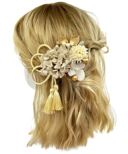 yzyJZOON z  l  ԏ   Ȍ a  wAANZT[ J[LF YY010