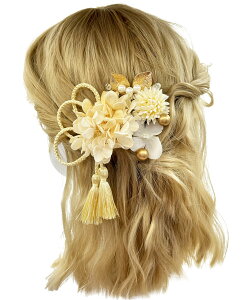 yzyJZOON z  l  ԏ   Ȍ a  wAANZT[ S[hOb^[ YY008