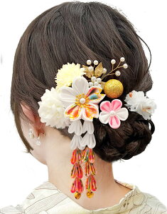 yzyJZOON z ܂ݍ׍H  ܎O l    U a  lC a Ǝ  t  F̏ H6200 zCg 