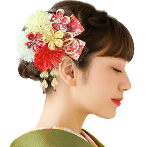 yz[JZOON]   ܂ݍ׍H fUC s|}  t l   Up a   pP[Xt Ǝ  B1001