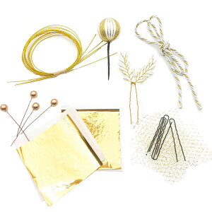 yz[JZOON]  V[g ݑ  S[hlbg a R pp[c zCg