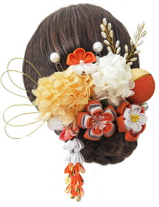 yz[JZOON]  ܎O  lC a wA[ANZT[ 񂴂  U  [ Ǝ w  \ K0613