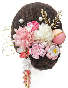 yz[JZOON]  ܎O  lC a wA[ANZT[ 񂴂  U  [ Ǝ w  \ K0613