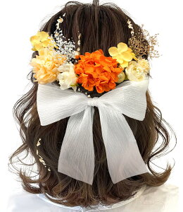 yz[JZOON]  { wAANZT[ l U  ܎O   Ǝ  \ w a Ղ OB z S2501