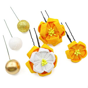 yz[JZOON] y6FWJz ܂ݍ׍H  l ܎O     U a Ǝ  킢 IW H3230