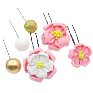 yz[JZOON] y6FWJz ܂ݍ׍H  l ܎O     U a Ǝ  킢 sN H3231