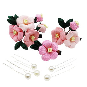 yz[JZOON] 3_Zbg ܂ݍ׍H y5FWJz  JA l ܎O    U a  Ǝ  p[    sN  IW H2473