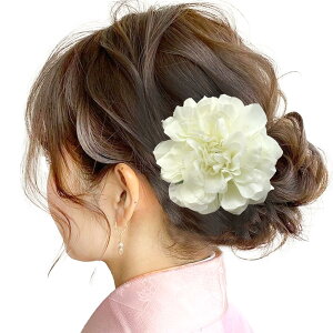 yz[JZOON] y16FWJz  l U  a5cm          F  s|} ʃTCY  Us Jt  čՂ ԉΑ ԏ  DLJ001