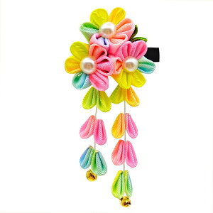 yz[JZOON]  ܎O ܂ݍ׍H l ܎O    U a  Ǝ   t F C{[J[  H2904