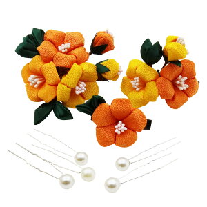 yz[JZOON] 3_Zbg ܂ݍ׍H y5FWJz  JA l ܎O    U a  Ǝ  p[    sN  IW