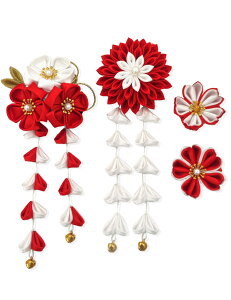 yz[JZOON]  VN 4_Zbg l ܎O    U a ܂ݍ׍H  Ǝ  t    3F K5203