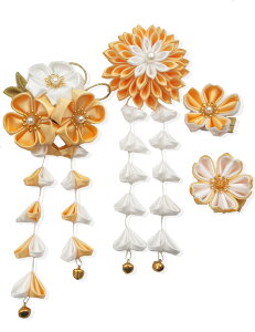 yz[JZOON]  VN 4_Zbg l ܎O    U a ܂ݍ׍H  Ǝ  t    3F K5203