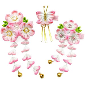 yz[JZOON]  3_Zbg ܎O l  Of[V wAANZT[ ܂ݍ׍H    U a Ǝ   Cxg  nhCh  