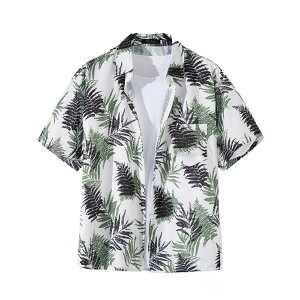 yz[Moerstar] AnVc Y fB[X r[`Vc nC ԕ   J yAbN   傫TCY  N[ gsJ  O gu