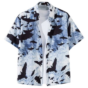 yz[Moerstar] AnVc Y 傫TCY AnVc fB[X J݃Vc  Vc Y eqyAbN N[    O rb` s \F