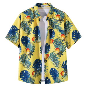 yz[Moerstar] AnVc Y 傫TCY AnVc fB[X J݃Vc  Vc Y N[  ʋC ĕ eqyAbN  rb` s C