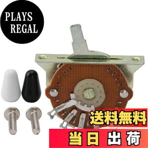 yzMusiclily Pro 4WAY XCb` eLX^[X^C̃GLM^[p