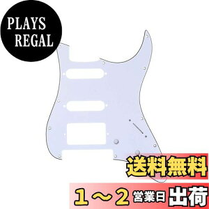 yzMusiclily Pro 11 HSS STXggsbNK[h American/LVRFender StratXggLX^[GLM^[ Floyd RoseubWJbgpA3vCzCg