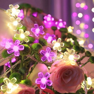 yzSITEDAN  XgOCg \[[ C~l[VCg  7M50d 2gv100 sNEH[zCg LED O t[ K[fCg 8[h h NX}XC