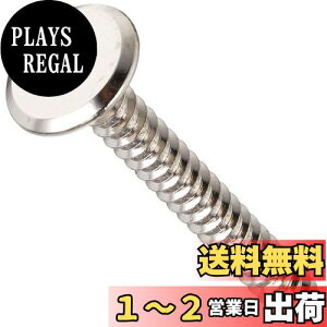 yz_Ch[ng(DAIDOHANT) ᓪ ^bsO ˂ [؍ށE|p] SEjbP ߂ (Ăьad)3mm x (L)25mm (:12{) 10179188