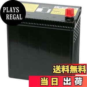 yzGS YUASA [ W[GXAT ] Yԃobe[ [ HJ EH ] HJ 55B24L(S)