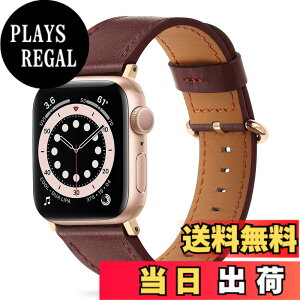 �y���������z�R���p�`�u��AppleWatch�o���h38mm 40mm 41mm�A�{�v�̏����p�����p�X�g���b�v��Apple Watch �V���[�Y8 / 7 / 6 / 5 / 4 / 3 / 2 / 1 / SE �ɑΉ��i���C�����b�h�o���h+���[�Y�S�[���h�A�_�v�^�[�j