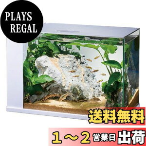 yzWFbNX GEX KX AQUARIUM NeA ȒP TJip tB^[ELEDt W34×D17.5×H24cmzCg
