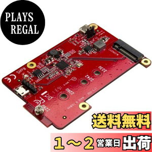 yzStarTech.com Yx[pC/Raspberry PipUSB - M.2 SATAϊ YpCdqH/J{[h PIB2M21