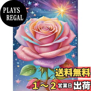 yzJISHSHAY _ChA[g o 30x40cm _ChA[g Lbg r[YA[g ㋉ |Lbg 5D _ChA[g KN lC GLbg Lbg DIY _Ch
