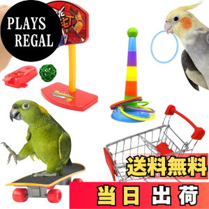 �y���������z[LUKASTR] �C���R �������� �I�E�� �y�b�g�p�i �o�[�h�g�C ���̂������� �m��ߋ� �Z�L�Z�C�C���R �I�J���C���R 4�_�Z�b�g