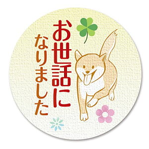 yzMtgV[ bsO V[  a3.2cm 50i5V[gj { (01 bɂȂ܂)