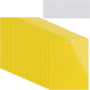 yzKALOLINNA  SV[g  QߊlS ʔS h S ȒPt Q ߒ h nG 쏜 ߊl K[fjO _ ͔| ƒ؉ CG[ (20×15cm,20)