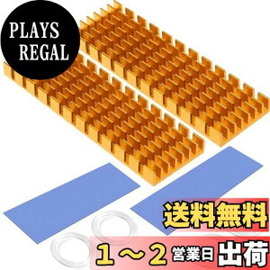 yzCTRICALVER M.2 ssdq[gVN MڒV[gt M\΍ pWG[^[tBCPU IC`bv H LEDAvɓKp A~jE 70mm×22mm×6mm (2, )