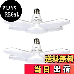 yzBatoneK[WCgled Ɠ led y_g60W 6500K VƖ tȒP Hsv px߉\ Ԍ q [ HpƖ F(2)
