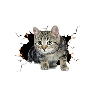 yzJunyueLiang J[ EH[XebJ[ XebJ[  L  pvc ǎ V[  CeA V[ ėp ϋv    X[cP[X p\R  J[Xe