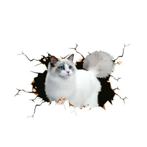 yzJunyueLiang J[ EH[XebJ[ XebJ[  L  pvc ǎ V[  CeA V[ ėp ϋv    X[cP[X p\R  J[Xe