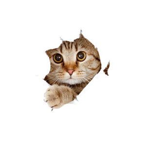 yzJunyueLiang J[ EH[XebJ[ XebJ[  L  pvc ǎ V[  CeA V[ ėp ϋv    X[cP[X p\R  J[Xe